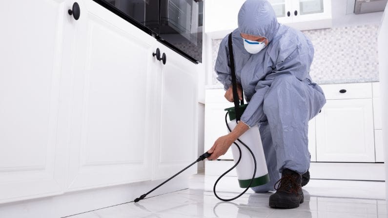 Wealth Through Property | Navigating Home Ownership: Understanding the Costs and Maintenance Requirements Pest Control
